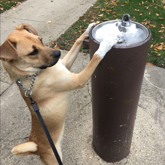 Meet the Posher, Amanda - Picture 6 of 6